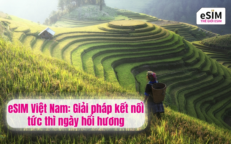 eSIM Việt Nam: Giải pháp kết nối tức thì ngày hồi hương